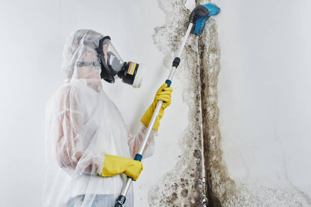 Best Crawl Space Mold Removal  in Fairmead, CA