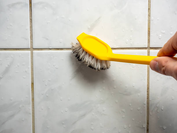 Best Same-Day Mold Removal  in Fairmead, CA