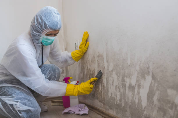 Best Mold Remediation Services  in Fairmead, CA