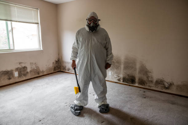 Crawl Space Mold Removal in Fairmead, CA